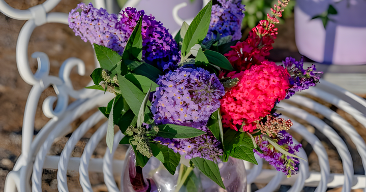 Backyard Bouquets: How to Enjoy Your Butterfly Candy Indoors