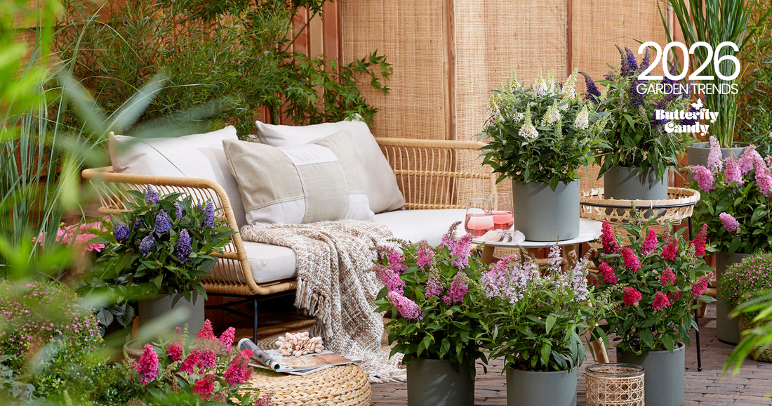 Lemonading Your Landscape: 2026 Garden Trends for Modern Gardeners